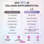 An infographic comparing standard and clear collagen supplements, titled 'WHY 95% OF COLLAGEN SUPPLEMENTS FAIL'. It shows a breakdown of absorption and digestion issues with standard collagen versus the improvements in 'Clear Collagen' using technologies like Liposomal protection and DFS Technology. Comparison chart showing why Clear Collagen liposomal delivery is 90% absorbed versus standard collage
