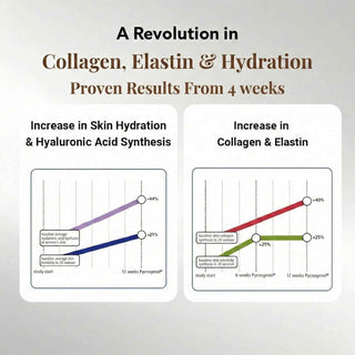 RedPine – Vegan Collagen Booster with Pycnogenol