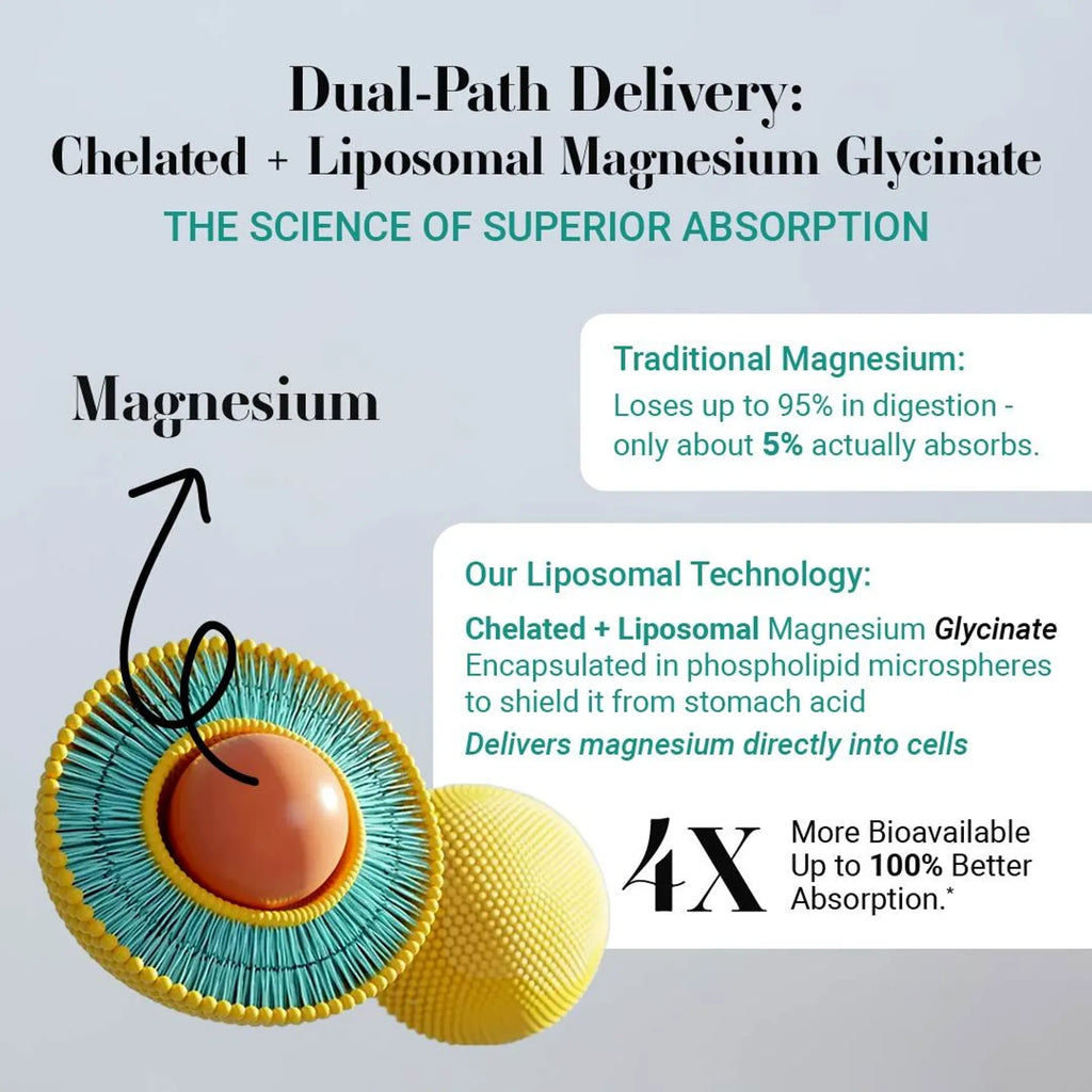 Mag8X – Advanced Magnesium Complex with Essential Vitamins