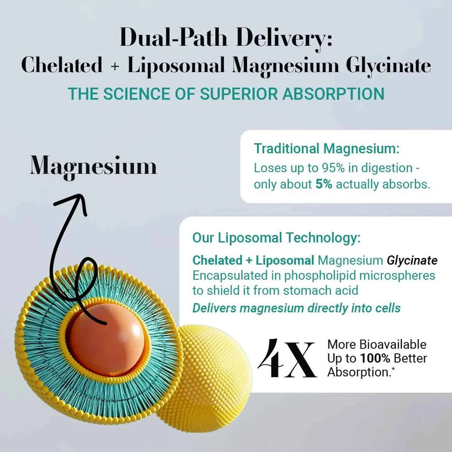Mag8X – Advanced Magnesium Complex with Essential Vitamins